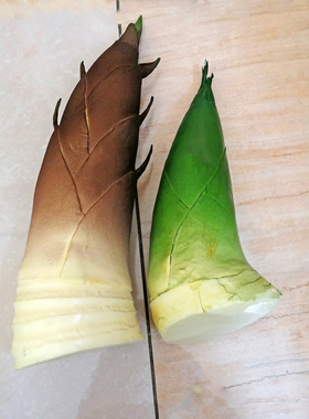PU材质好看仿真竹笋装饰模型包邮