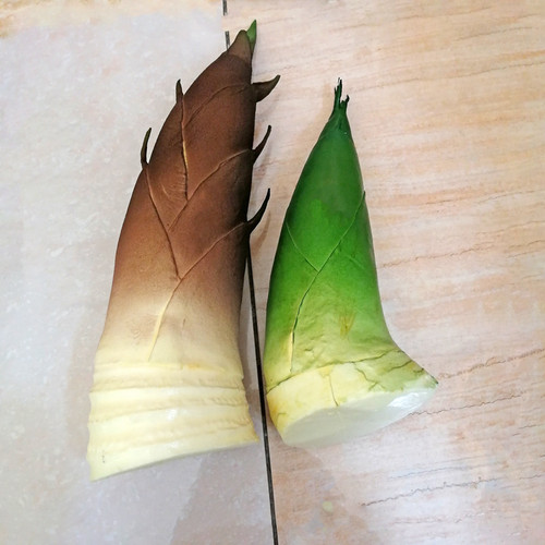 PU材质好看仿真竹笋装饰模型包邮