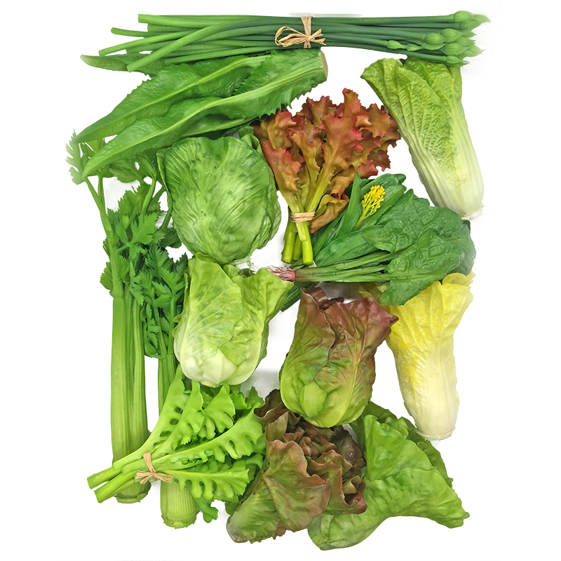 蔬菜模型种类多塑料生菜芹菜白菜
