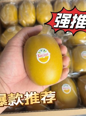 仿真水果PU黄金奇异果带标家居饰品装饰摆件假猕猴桃模型手感真实
