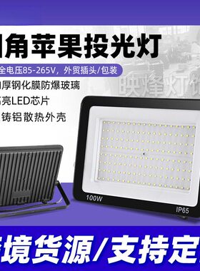 圆角小苹果防水户外灯50W 100W200W照明灯泛光灯 LED投光灯