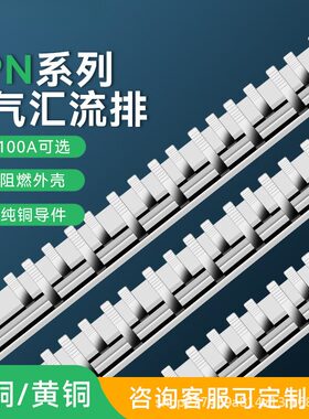 DPN63A汇流排20A-70A紫铜黄铜空开DZ267连接1P+N断路器接线KT005