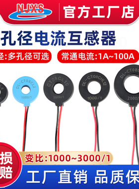 DL-CT08CL10-2000/1引线式精密电流互感器 20A/10mA 60A/30mA
