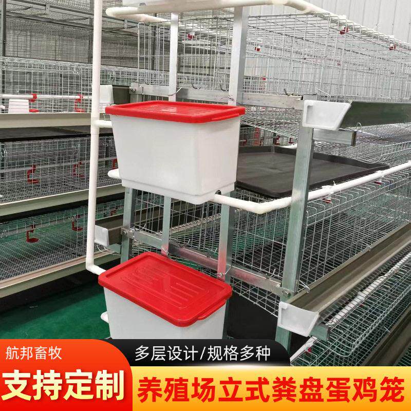 热浸锌立式粪盘蛋鸡笼三层四层自动清粪养鸡笼蛋鸡养殖鸡笼厂家