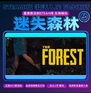 迷失森林1steamCDKEY激活入库可联机需双方在本店购买