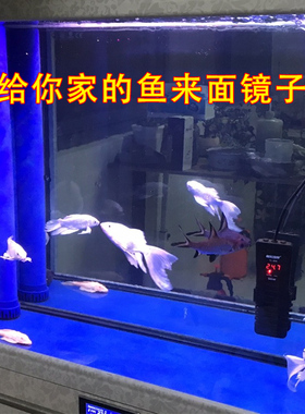 鱼缸水族馆鱼照镜子可弯曲可裁剪