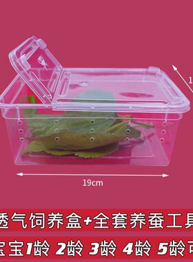 蚕宝宝透气饲养盒大号高档别墅房子蚕卵桑叶学生养蚕工具套餐活体