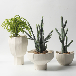 ins奶油风陶土创意多肉透气大口径兰花陶瓷花盆简约绿萝家用小号