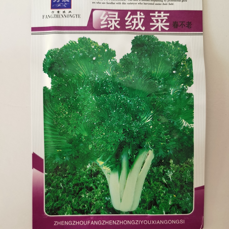 黑菜蔬菜盆栽菜青庭院种子孑春不老绿绒四季芥菜种秋冬季耐寒菜籽