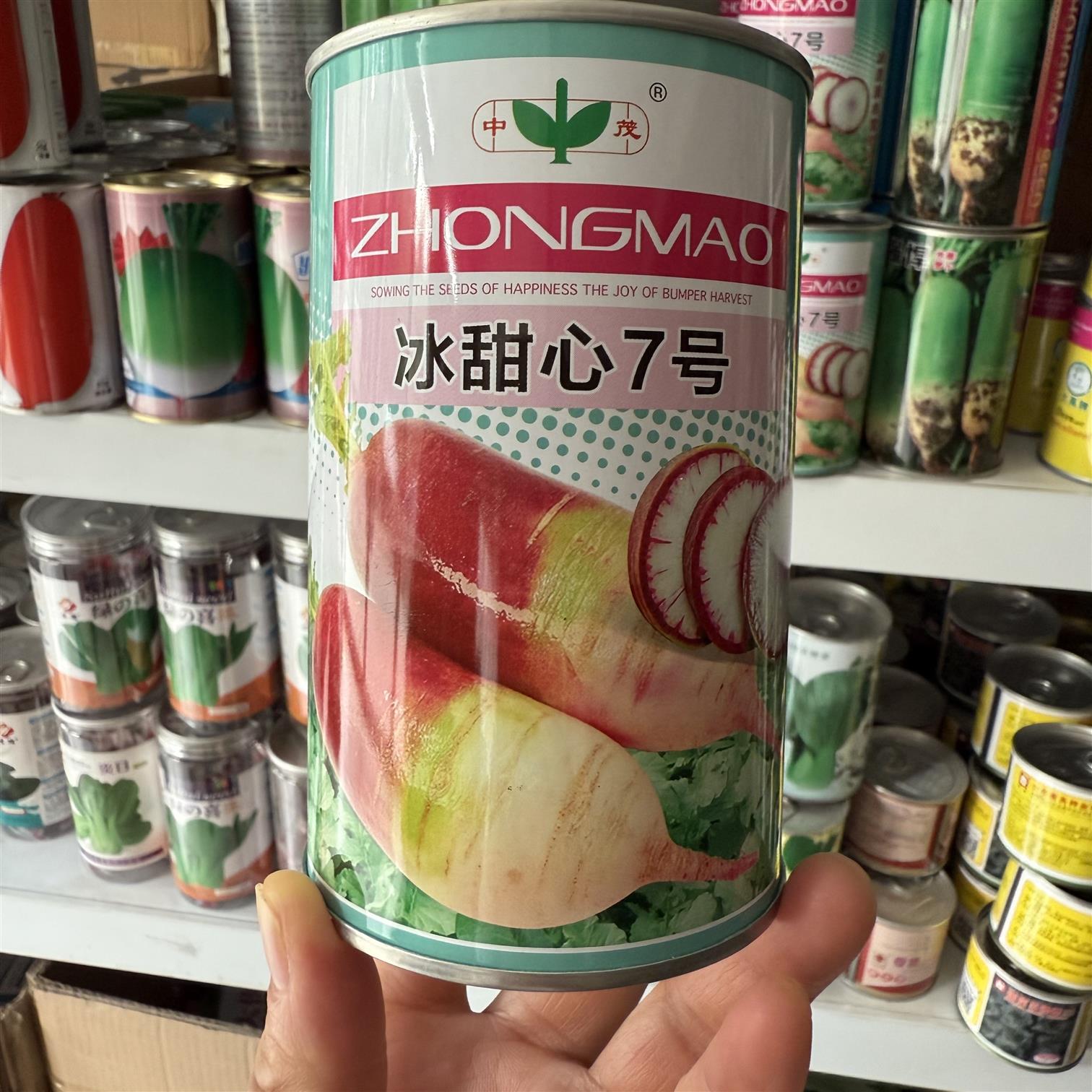 冰甜心七号甜脆白心甜萝卜种子早熟高产甜脆爽口农家小菜园蔬菜籽