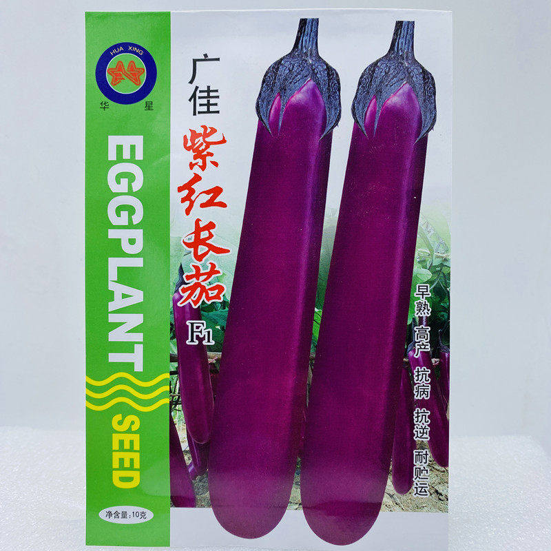 广佳紫红长茄子种子原装早熟高产深紫红色果肉白色蔬菜种子大全