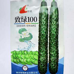 绿领致绿100黄瓜种籽孑黑油亮绿皮绿肉农家春秋季播杂交黄瓜种子