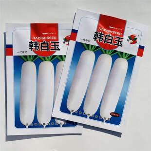 白萝卜种籽春白玉萝卜韩国白玉春萝卜种子超大高产春秋季 蔬菜种孑