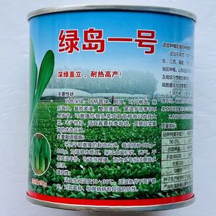 绿岛一号青菜种子耐热青梗菜种籽深绿色苏州青蔬菜种子耐高温