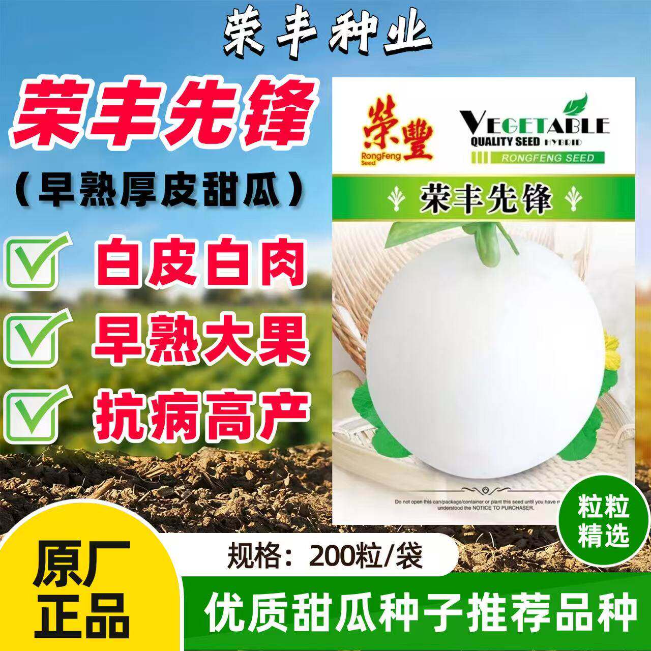 荣丰先锋甜瓜种子早熟厚皮甜瓜白皮白肉超甜大果香瓜种籽高产抗病