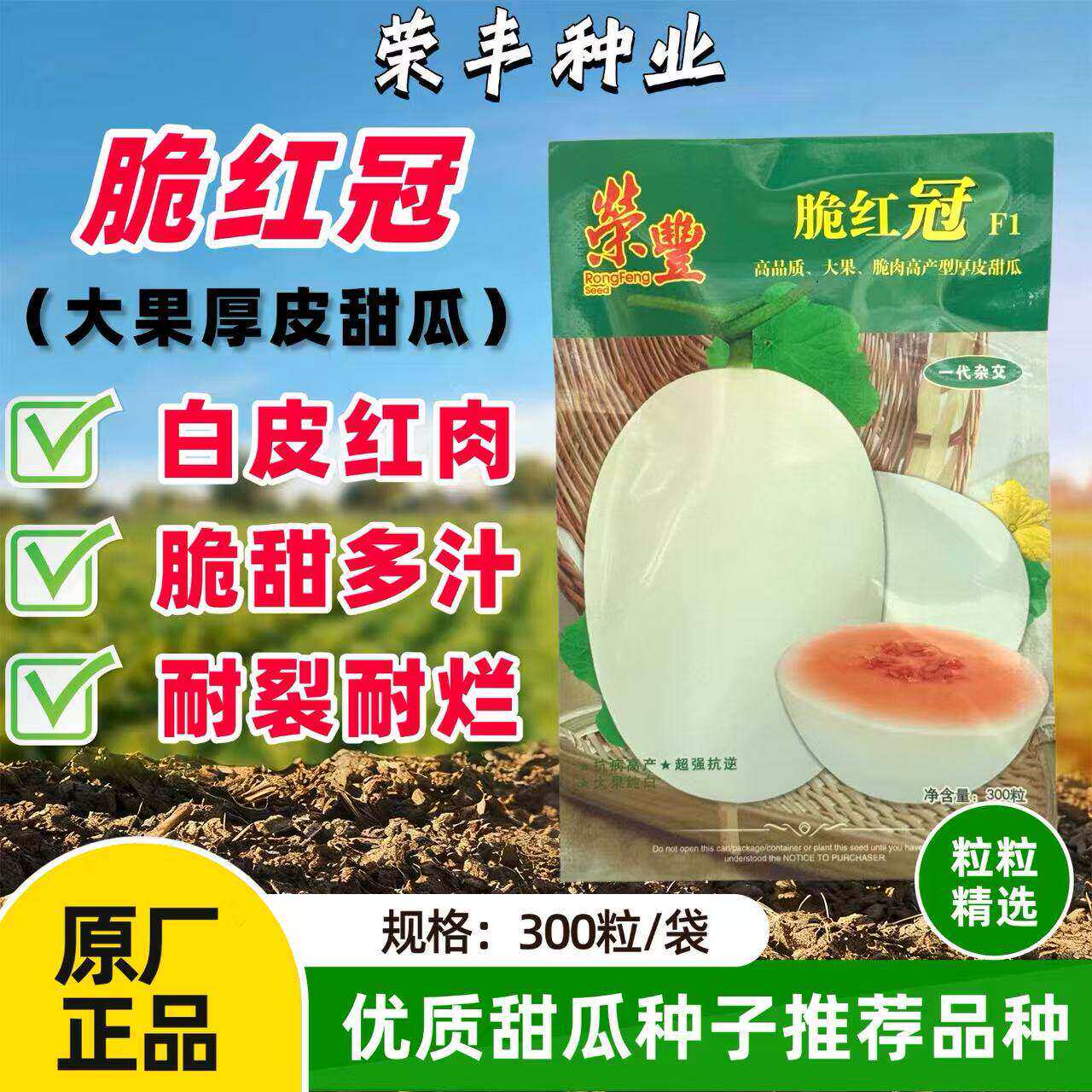 荣丰脆红冠甜瓜种子厚皮杂交高产甜瓜种籽白皮红肉高糖耐裂耐贮运