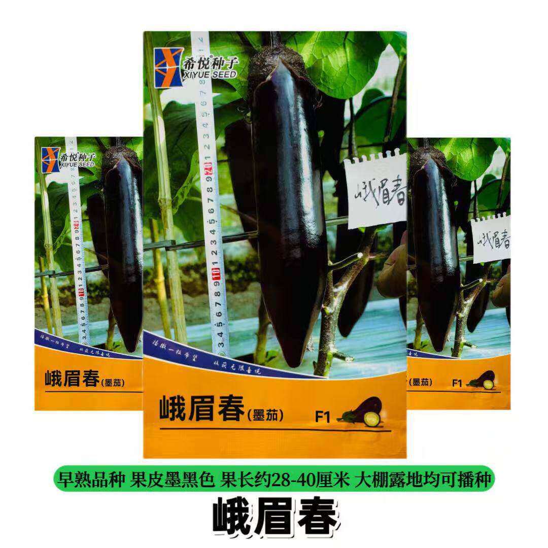 峨眉春优质墨茄茄种籽早熟光亮高产黑茄春秋四季农家蔬菜菜瓜种子