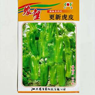 农望更新虎皮辣椒种子杂交泡椒种籽马嘴椒小灯笼形皱皮味辣高产