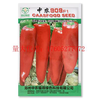 中农909辣椒种子 粗牛角型辣椒种籽大果红辣椒中辣抗病早熟高产孑