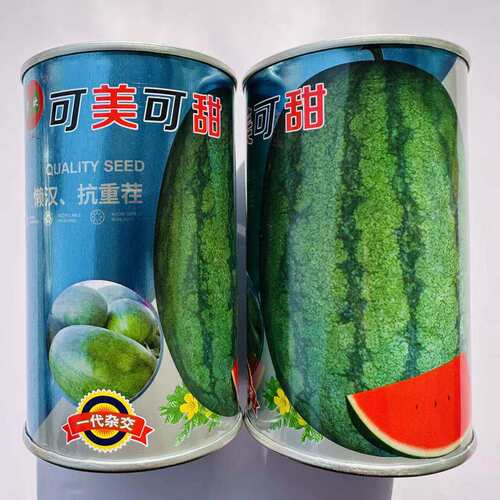 科高可美可甜中晚熟杂交懒汉西瓜种子大红瓤抗旱耐湿耐重茬易坐果
