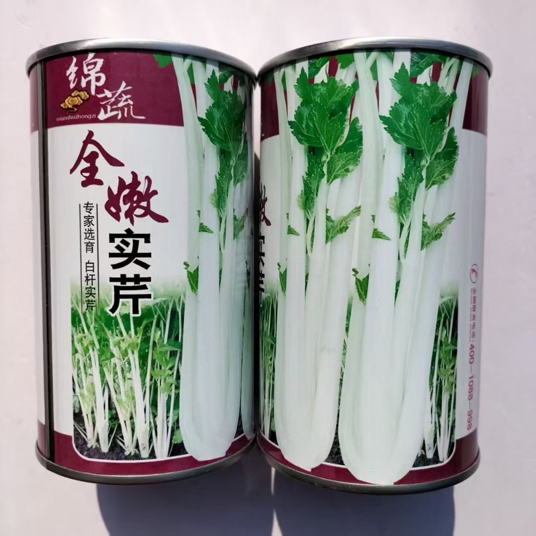 绵蔬全嫩实芹种子白芹菜种子洁白实心脆嫩高产抗病商品性佳春秋播