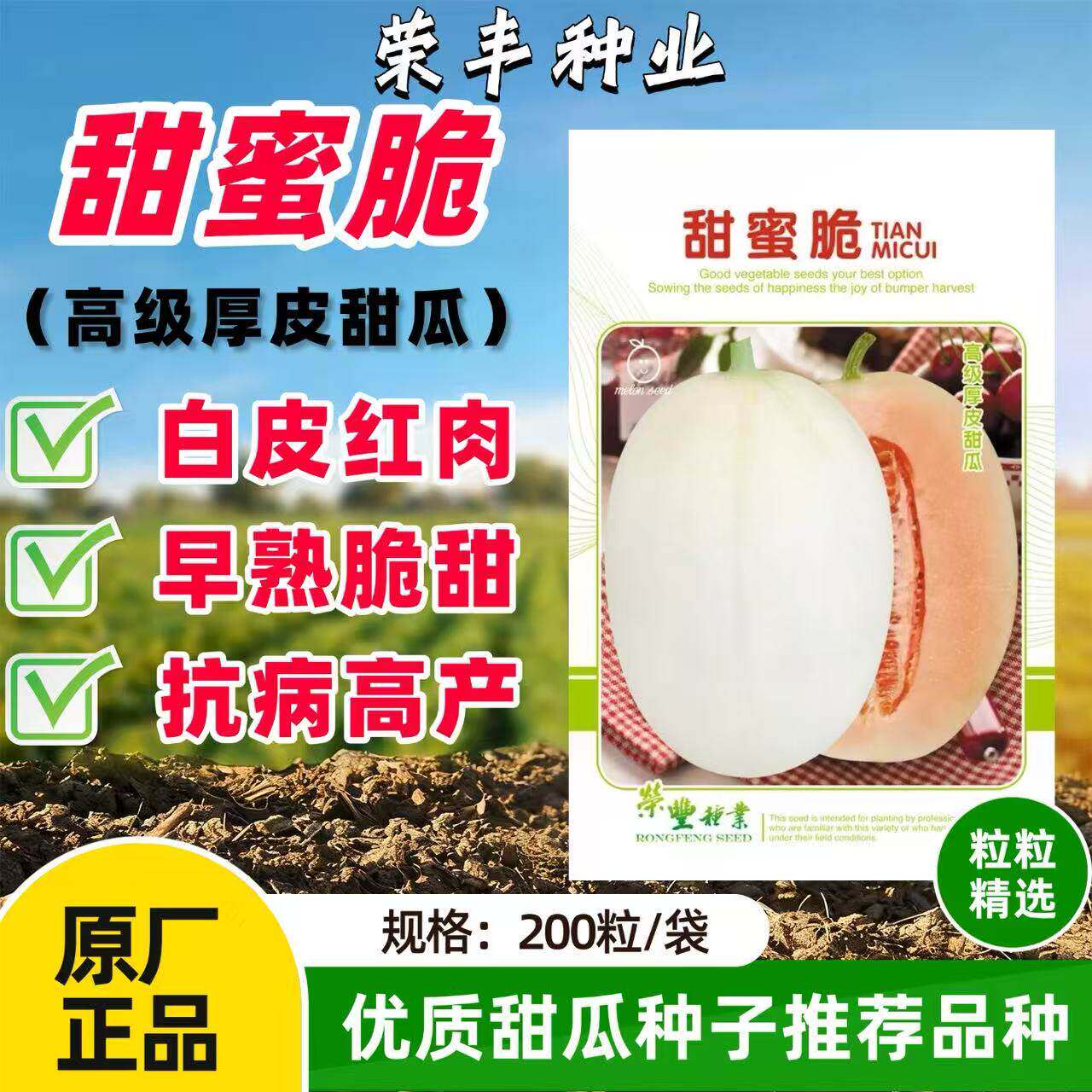 荣丰甜蜜脆白皮红肉甜瓜种子早熟脆甜厚皮甜瓜种籽高产抗病香甜瓜