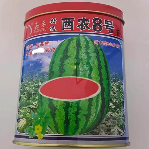 嘉禾西农8号西瓜种子 椭圆形条纹西瓜种籽耐重茬抗病大田专用高产