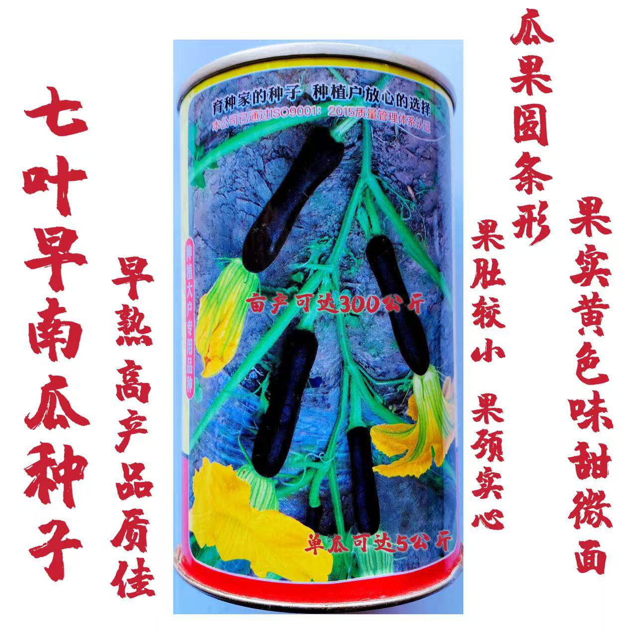七叶早南瓜种子高产抗病一叶一瓜早熟纯黑特选七叶早甜糯南瓜种子