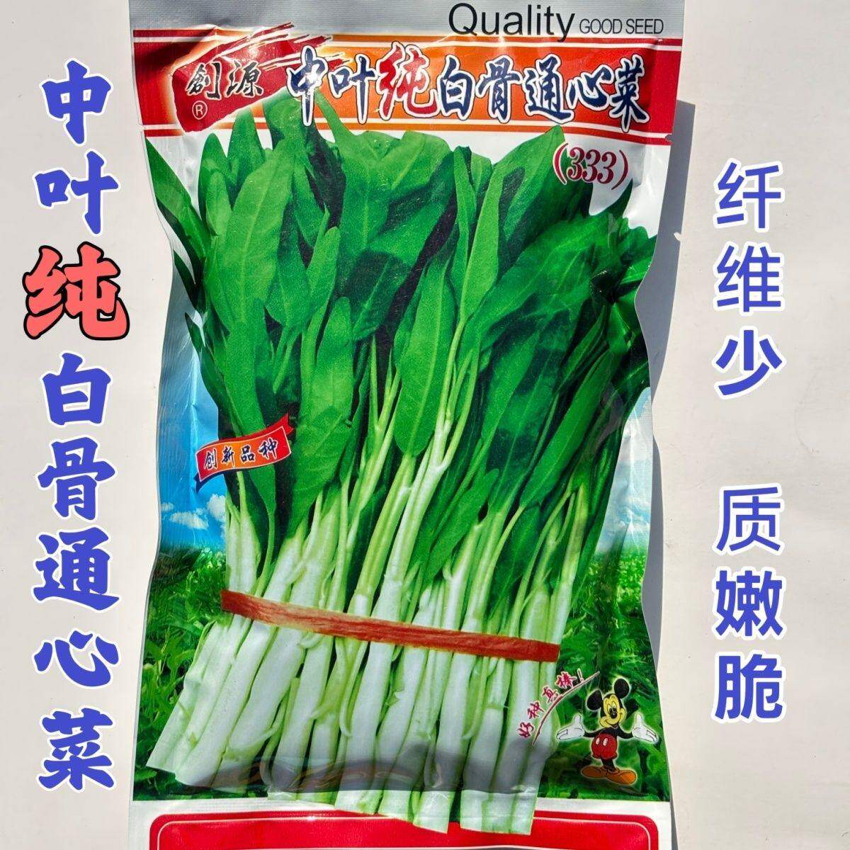 中叶纯白骨通心菜空心菜种子白杆中叶通心菜纯白骨蕹菜四季蔬菜籽