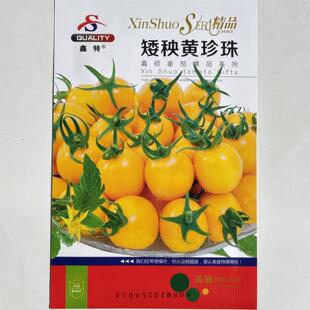 鑫特矮秧黄珍珠小番茄种子早熟高产抗病耐热耐寒黄樱桃蔬菜种子籽