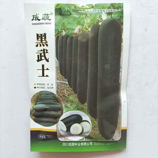 黑武士黑皮冬瓜种子高产抗病耐热耐寒吊瓜爬地瓜种籽农家春秋种孑