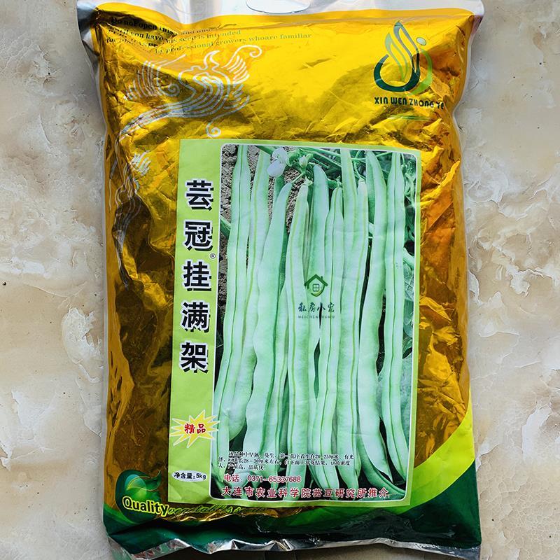 芸冠挂满架白芸豆种子高产架豆种籽春季播农家菜园基地白芸豆种孑