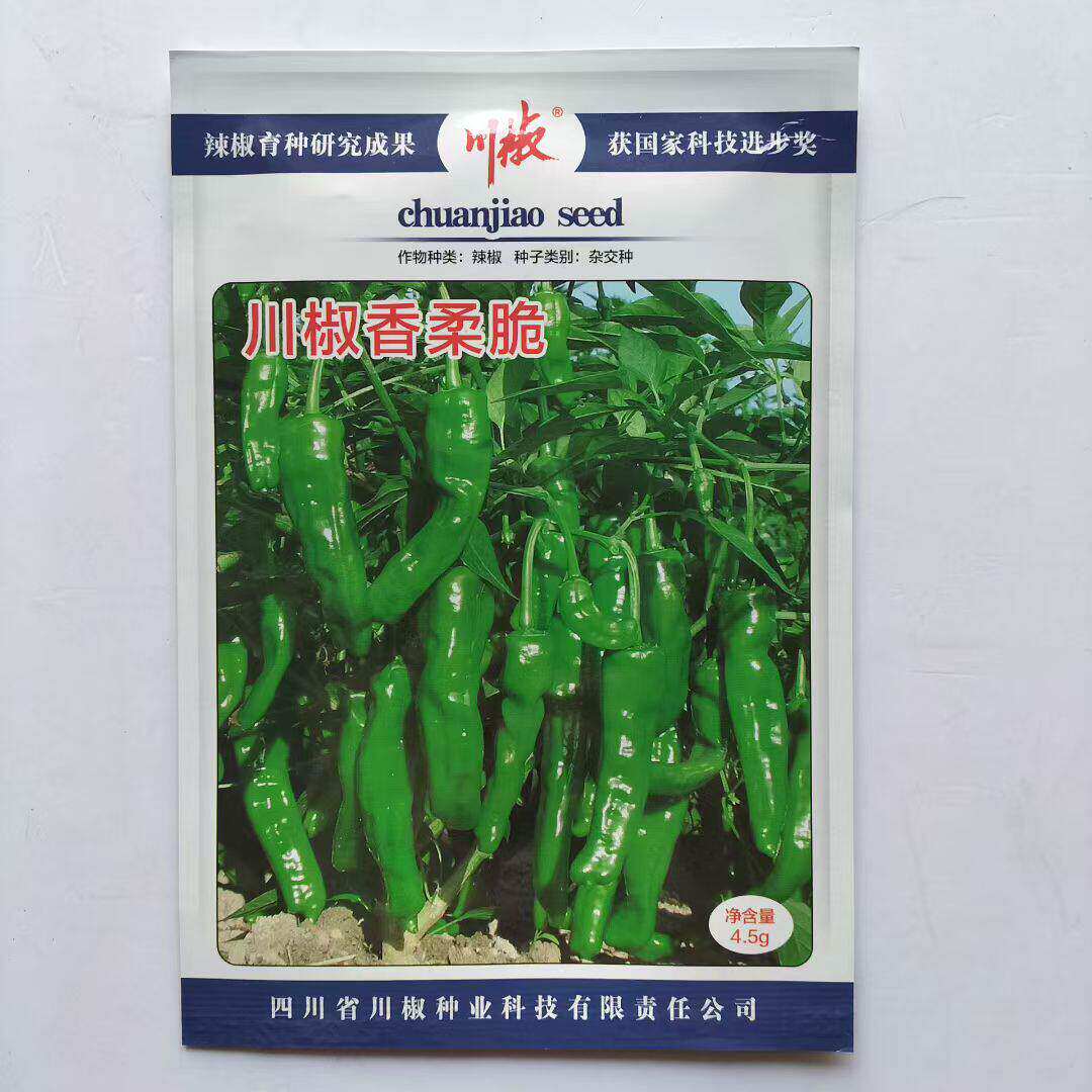 川椒种业川辣香柔脆辣椒种子早熟皮薄清香脆爽虎皮椒适用基地种子