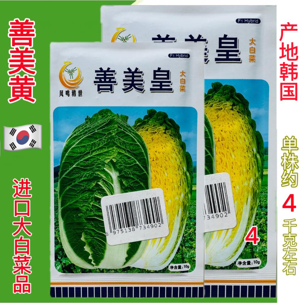 善美皇黄心大白菜种子高产抗病耐热耐寒农家菜园家庭种植蔬菜种子