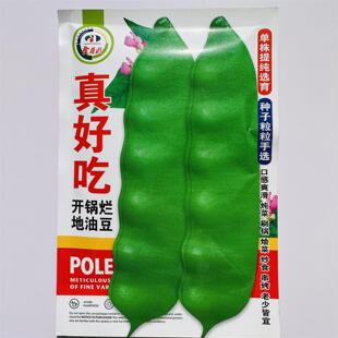 真好吃地油豆不上架油豆角种子高产抗病耐热耐寒基地种植蔬菜种子