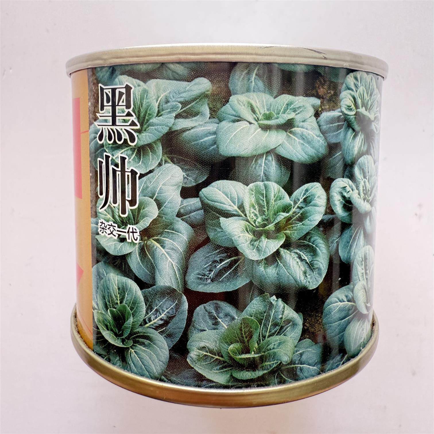 黑帅甜糯青菜种子高产抗病耐热耐寒农家菜园家庭种植蔬菜青菜种子,鲜花速递/花卉仿真/绿植园艺,家庭园艺种子,淘宝优惠券,粉丝福利购,淘宝优惠卷
