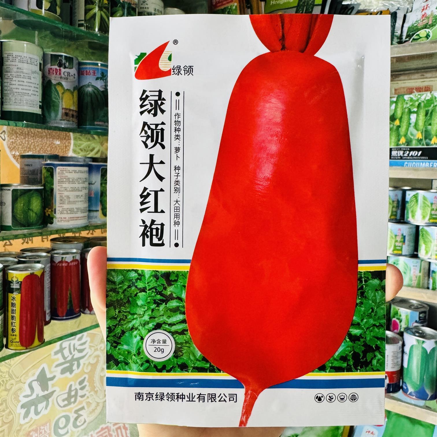 大田用种绿领大红袍红皮白肉萝卜种子四季满身红萝卜种子早熟耐热