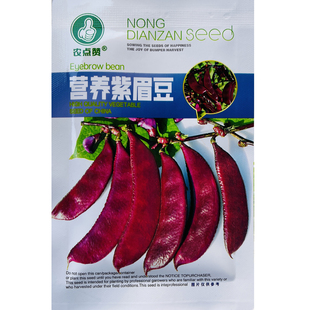 早熟扁豆种子种 高产四季紫红梅豆架豆菜豆角边红眉豆蔬菜种子