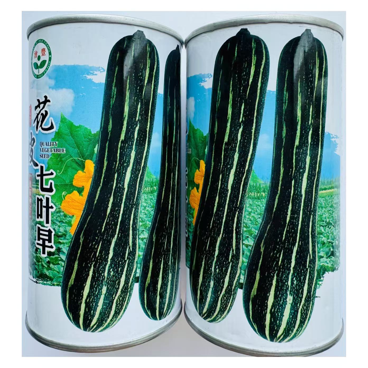 花皮吊瓜种子特早熟果肚较小味甜面抗病性好结瓜多花皮早南瓜种子