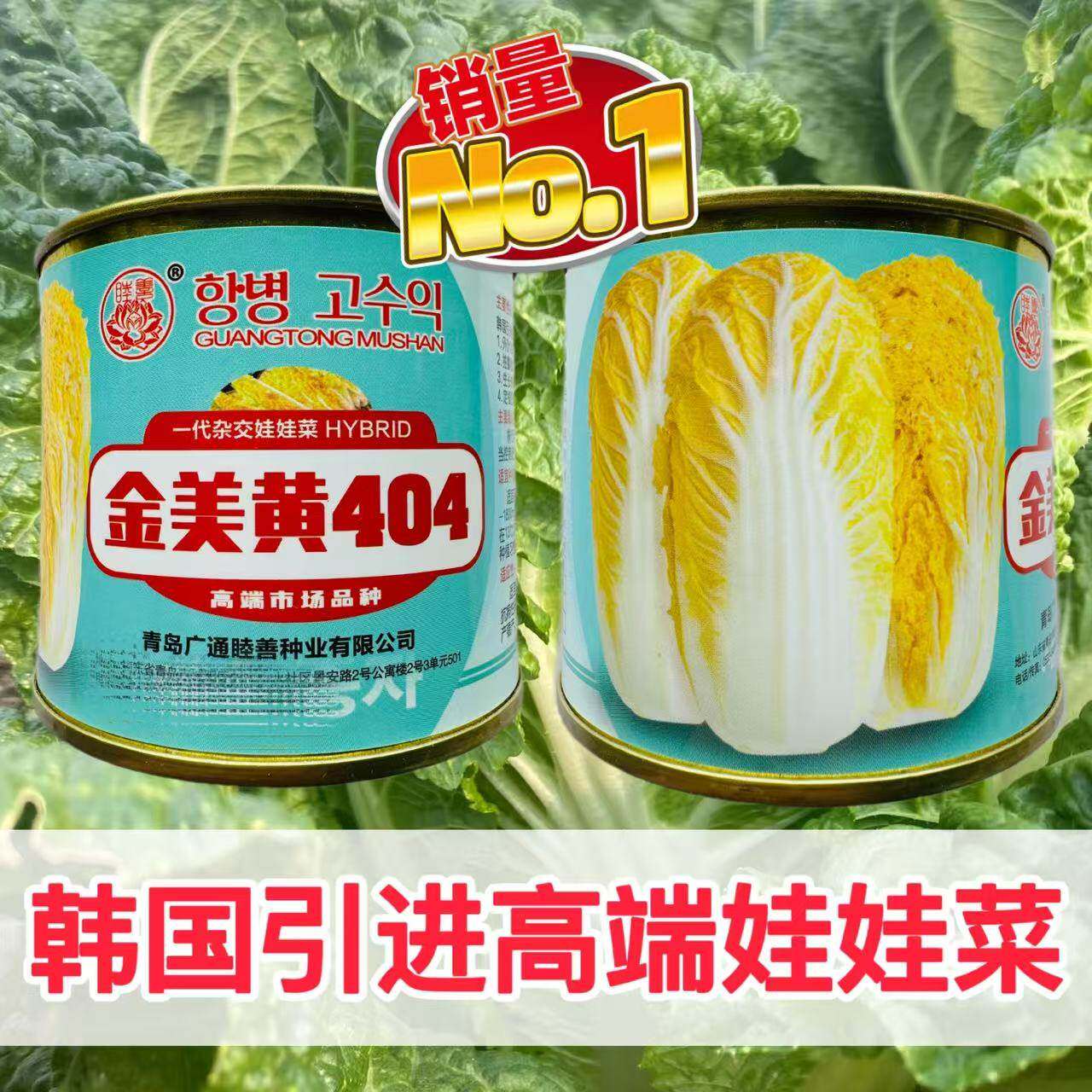 金美黄404娃娃菜种子韩国引进高产黄心娃娃菜种孑小型黄白菜籽