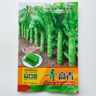 青高青莴笋种子高桩形椭圆叶叶片稀耐寒青皮青肉清香味浓蔬菜种子