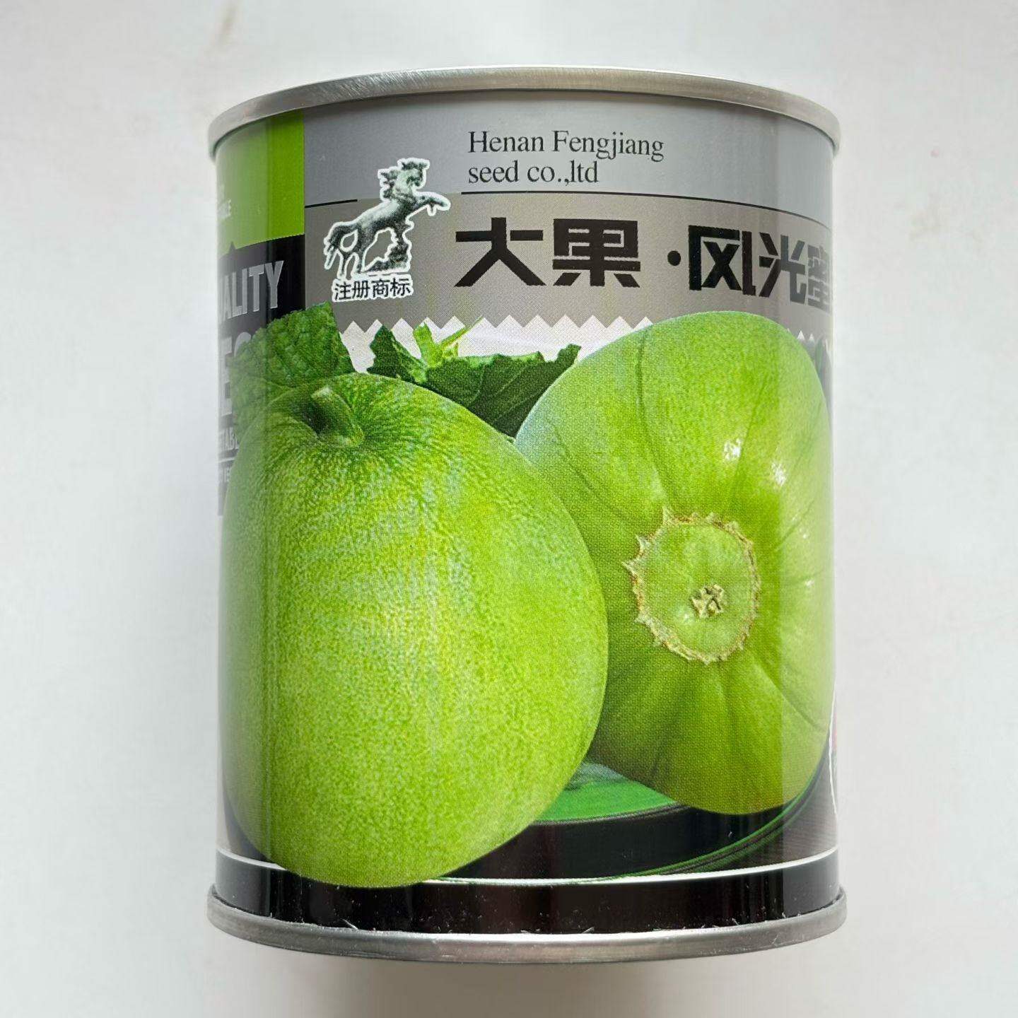 大果风光蜜宝甜瓜种子早熟高产春秋播种大果薄皮香瓜种子大田基地