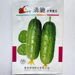 清脆水果黄瓜种子绿领牌丰产抗病高品质早熟短粗脆甜薄皮黄瓜种籽