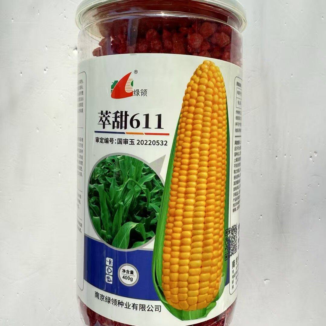 绿领萃甜611水果玉米种子黄玉米种籽春秋季播国审鲜食甜玉米种孑