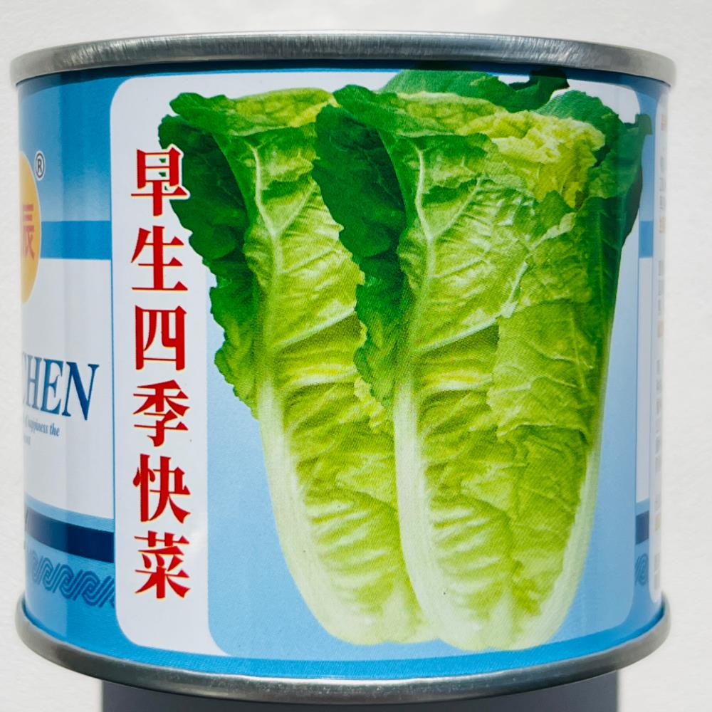 早生四季快菜种子无毛白菜种子抗病耐热耐湿春夏秋季播种青菜种孑