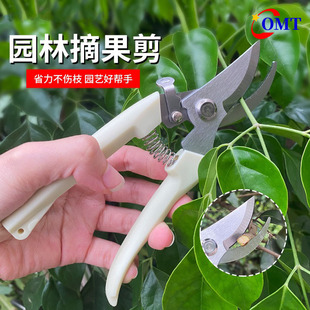 花艺师插画专用剪刀去刺剪纸修枝剪鲜花花艺插花剪丝带裁纸园艺剪