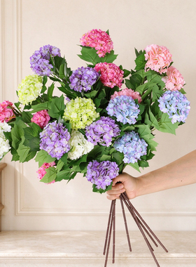 莱雅花艺绢花桌面绣球