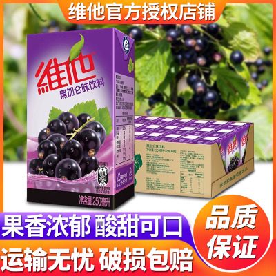 港式Vita维他奶黑加仑250ml*24盒