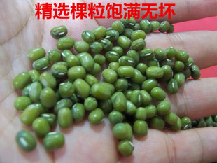 新豆广西马山农家小绿豆可发豆芽煲粥煮绿豆汤和粽叶下单包邮