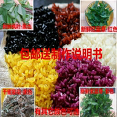 广西马山密蒙花红蓝草紫蓝草五色糯米饭枫叶植物染料有颜色可选